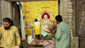 mewar pilgrim guide shreenathji