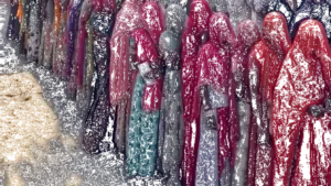 udaipur district council phase 2 voting